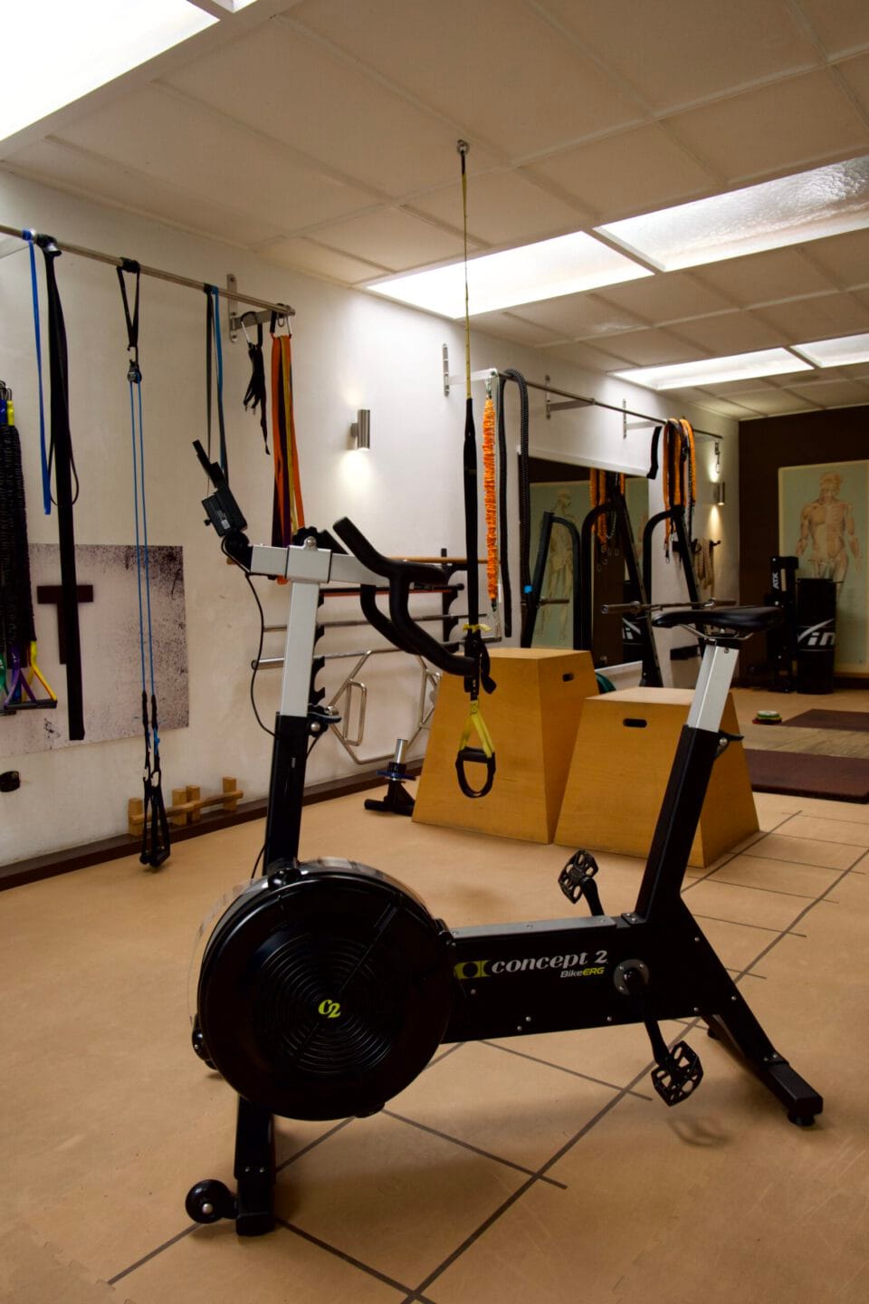 Grow on Sports - Heilbronn. Personal Training und individuelle Betreuung Grow on Sports - Heilbronn. Personal Training und individuelle Betreuung