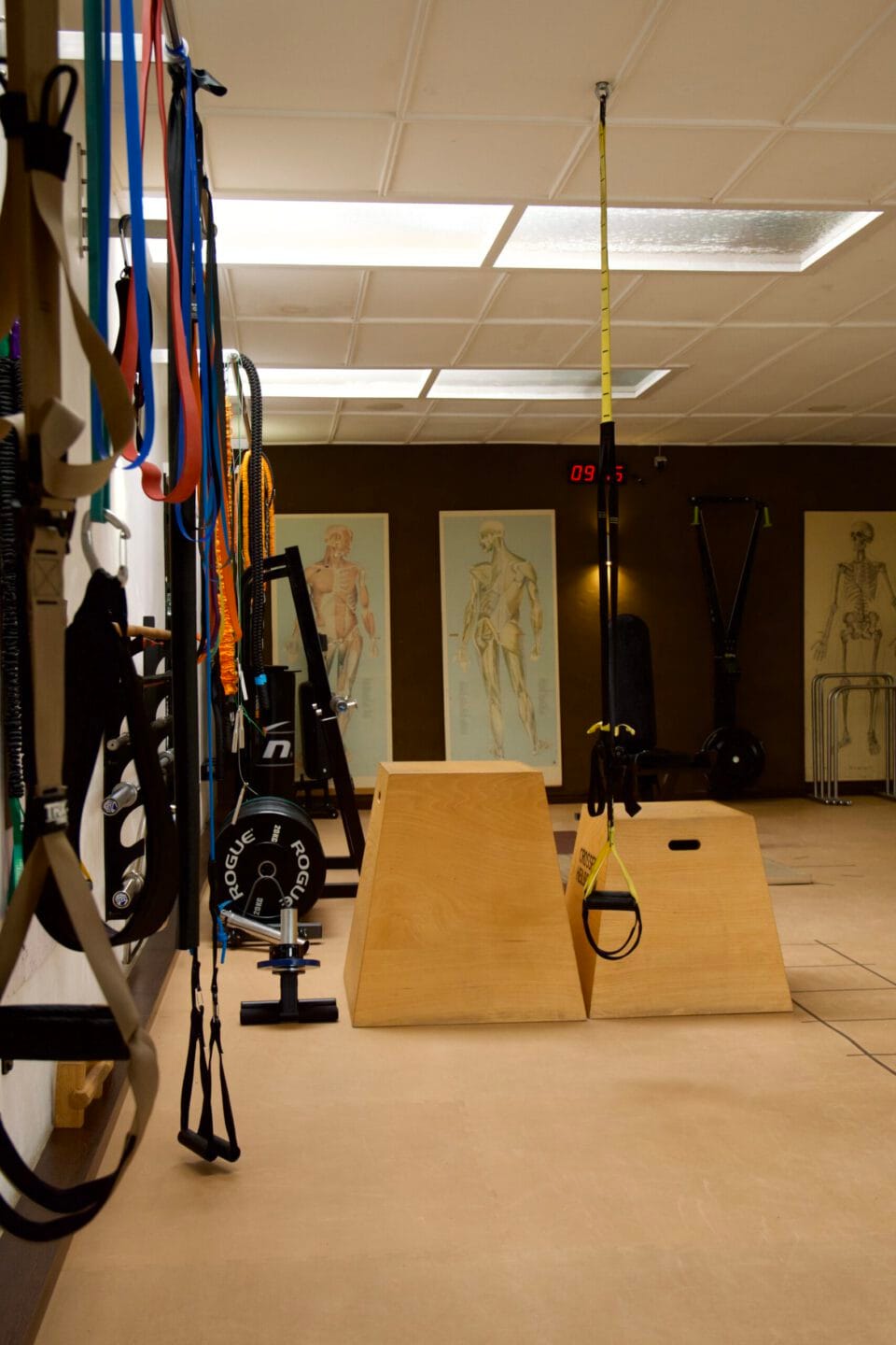 Grow on Sports - Personal Training, Athletiktraining und Gesundheitscoaching im exklusiven Studio in Heilbronn Grow on Sports - Personal Training, Athletiktraining und Gesundheitscoaching im exklusiven Studio in Heilbronn