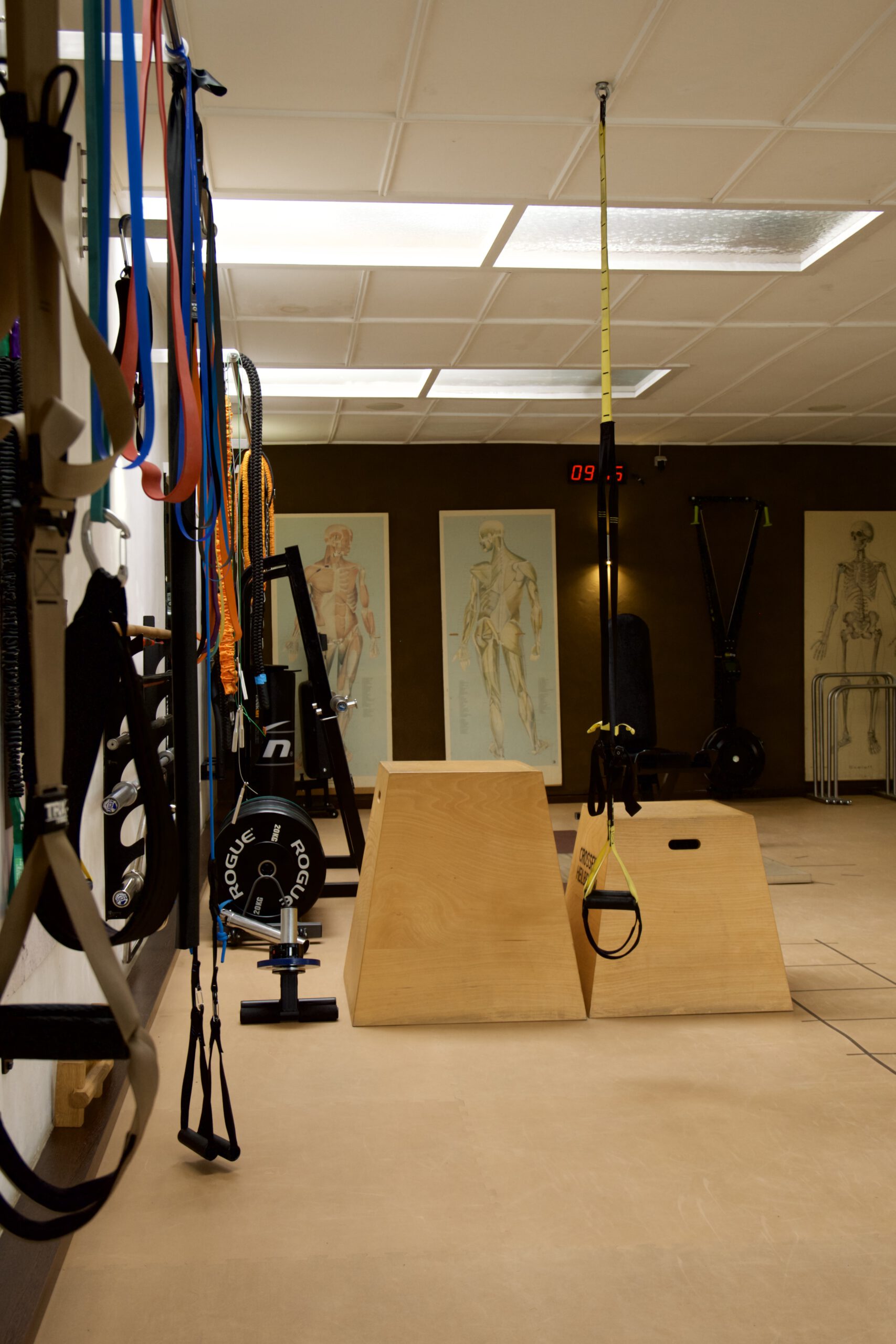 Grow on Sports - Personal Training, Athletiktraining und Gesundheitscoaching im exklusiven Studio in Heilbronn